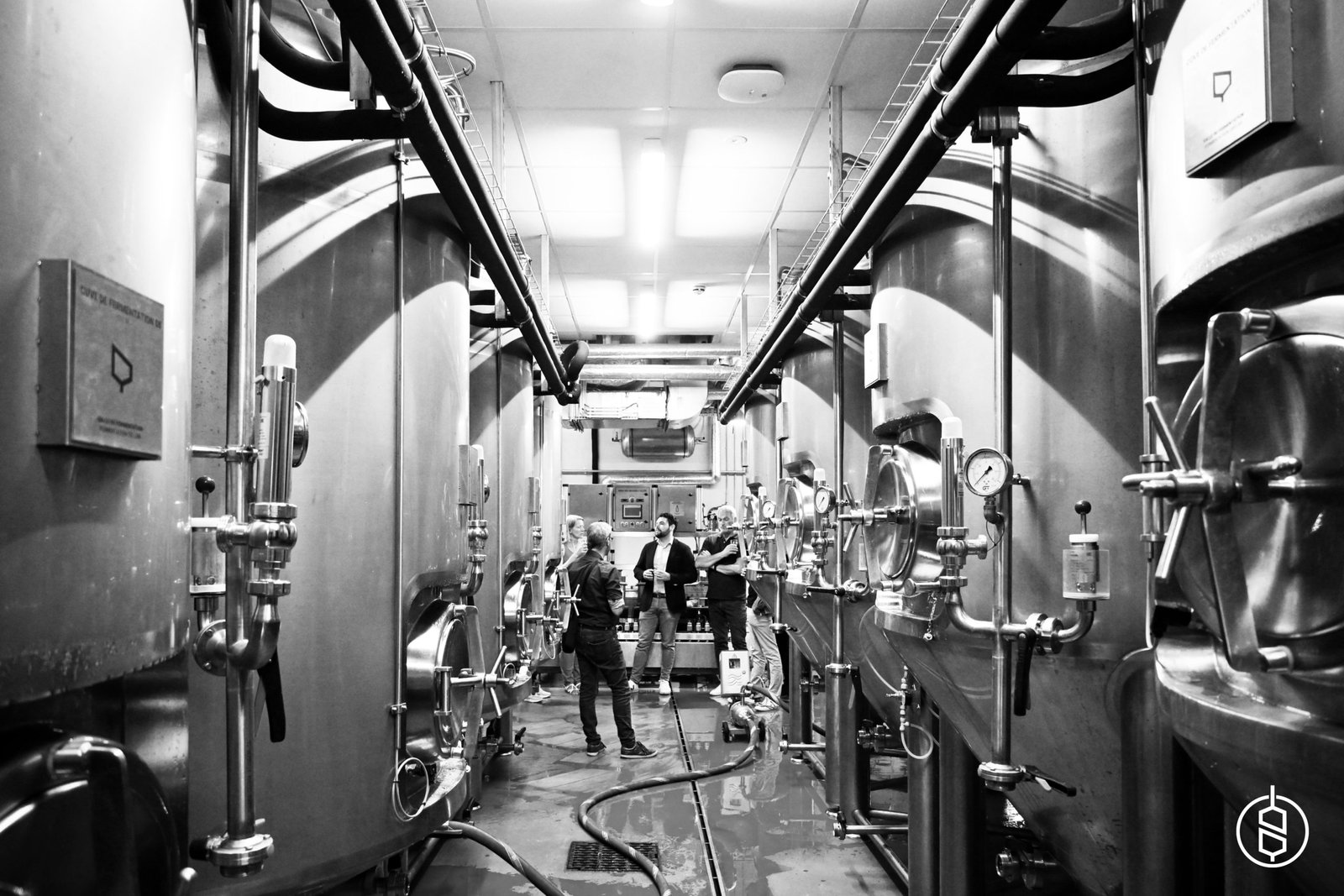 Valeur / Partager / Sensations