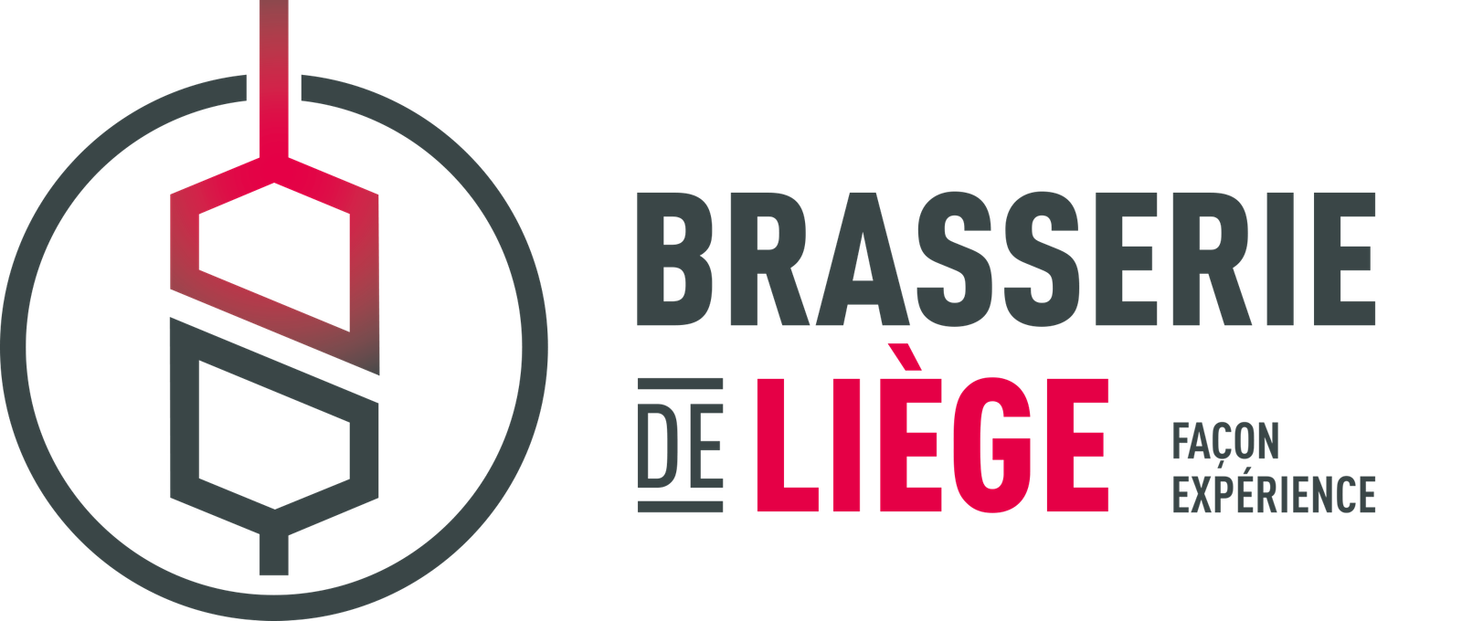Logo BdLsrl